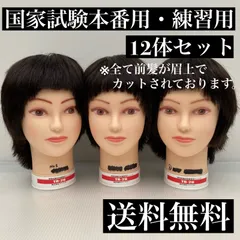 カットマネキン 10体セット （国家試験仕様2体・レイヤー練習用8体） 2026年最新】カット マネキン 国家試験の人気アイテム - メルカリ