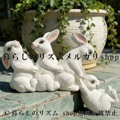 Francfranc ラビット アムルー ホワイト （LとS×2）3個セット - メルカリ