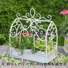 多肉ちまちま寄せ植え✿ワイヤーハンギング✿そのまま飾れます - メルカリ