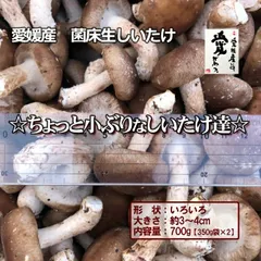 🍄愛媛産菌床生しいたけ🍄ちょっと小ぶり７００ｇ☆本州・四国・九州送料無料☆のサムネイル