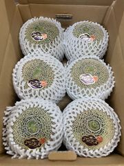 糖度14〜18度】甘くてとろける◇アンデスメロン12玉 8kg 青肉メロン