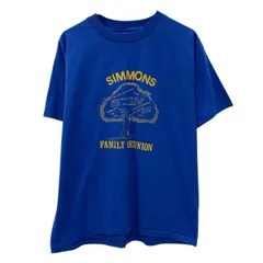 90s USA製 Hanes 半袖 プリントTシャツ L ブルー イエロー ヘインズ プルオーバー ビッグプリント 90年代 プリント 夏物 a805-5749のサムネイル