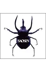 SAOSIN CDコレクション il_1080xN.6744208212_cnmj.jpg 白盤、黒盤、灰盤 7枚セット 洋楽