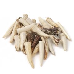 鹿の角 エゾシカ 角 【大小詰合わせ】 1kg 端材 アクセサリー パーツ