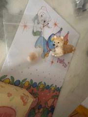 レア‼️昭和レトロ　70s 当時物　レトロポップ　特大いぬぬいぐるみ　宇山あゆみ 昭和レトロ お手入れワンちゃん 犬 ぬいぐるみ 特大 三英貿易 宇山