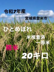 淡路島産キヌヒカリ20キロ - メルカリ