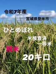令和7年産　ひとめぼれ　精米　一等米　20キロ　宮城県登米市のサムネイル