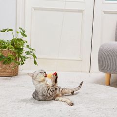 オーダー受付用】 あみぐるみコースター 爬虫類 動物 カメ とかげ