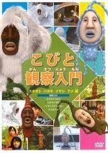 こびと観察入門/こびと大研究 DVD6枚セット 全巻送料無料 - メルカリ