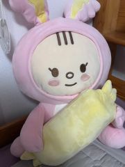 SEVENTEEN JEONGHAN トラム ぬいぐるみ アーティストメイド - メルカリ