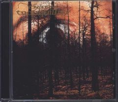 邦楽 NOT II BELIKESOMEONE/Tragic Orchestra CD NOTⅡBELIKESOMEONE/Tragic Orchestra CD - メルカリ