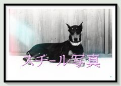 the judgeman様専用USMハラー用パーツチューブ33cm 10本セット - メルカリ