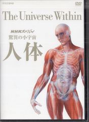内司メソッド 縦巻き横巻き セミナーDVD - メルカリ
