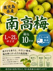 鹿児島産すもも(プラム)約5kg クール便 - メルカリ