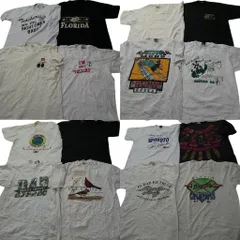 古着卸 まとめ売り ヴィンテージ シングルステッチ Tシャツ 16枚セット ( メンズ L ) プロチーム MLB アニマル 動物 中古 古着 NE7746