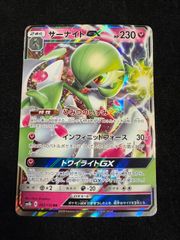 ライコウ 005/009 ポケパーク POKEPARK 2005 PROMO プロモ A515 - メルカリ