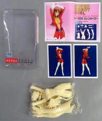 中古】小物(男性) SUPER JUNIOR トランプカード 「SUPER JUNIOR THE