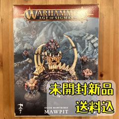 ウォーハンマーAOS スピアヘッド オゴウル•モウトゥライブ - メルカリ