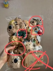 Dinotaeng(ダイノテン) キーホルダー まとめ