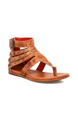 ベッドステュ レディース シューズ サンダル Bed Stu Artemis II Gladiator Sandal Tan Rustic タン