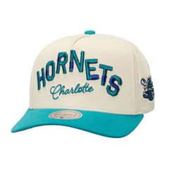 Mitchell Ness Men's Accessories Hats Cream Teal Charlotte Hornetsoul Festival Staggered Zag Pro Crown Snapback Hat Cream