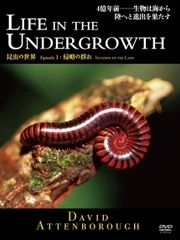 新品 BBC ライフ・イン・ザ・アンダーグロウス / 昆虫の世界 輸入盤