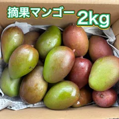 2026年最新】摘果マンゴーの人気アイテム - メルカリ