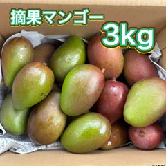 2026年最新】摘果マンゴーの人気アイテム - メルカリ
