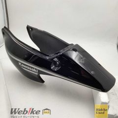 eliminator SE 2025リアフェンダー グリーン　エリミネーター eliminator SE 2025リアフェンダー グリーン エリミネーター - メルカリ