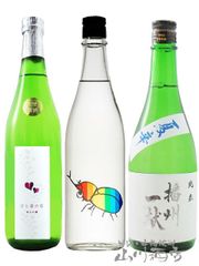 夏酒呑み比べ】仙禽かぶとむし・大那 夏の酒 蛍720ml2本組 - メルカリ