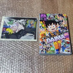 ドラゴンボール 漫画 連載 40 周年 記念 特集 雑誌 + 特典 (未開封) まとめ