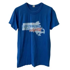 80s USA製 Tee Swing 半袖 プリントTシャツ L ブルー プルオーバー 80年代 ビッグプリント コットンポリ カットソー 夏物 a805-5852