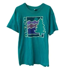 90s USA製 FRUIT OF THE LOOM 半袖 プリントTシャツ L グリーン フルーツオブザルーム 90年代 コットンポリ カットソー 夏物 a805-5855のサムネイル