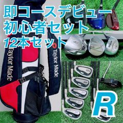 ゴルフクラブ フルセット テーラーメイド BURNER入り 初心者 D3954