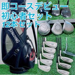 初心者おすすめ！パワービルト ゴルフクラブ フルセット R 12本 G3667