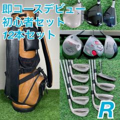 コブラ入り メンズ ゴルフクラブ フルセット 初心者 Rフレックス I3736