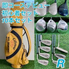 テーラーメイド入り ゴルフクラブ フルセット 初心者 10本 メンズ