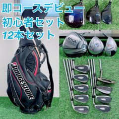 1033 初心者向け ASPIRE メンズゴルフクラブセット キャディバッグ付