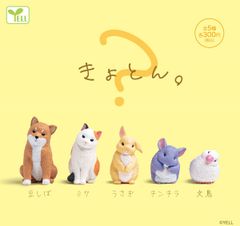 쿄돈. 동물 피규어 전 5종 콤프셋 가챠 콩 시바 토끼