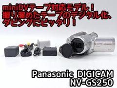 Panasonic NV-GS250 mini DV ビデオカメラ - メルカリ