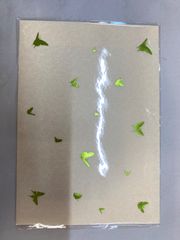 [O1-98] ◎ 조조의 기묘한 모험 스톤 오션 엽서 중고