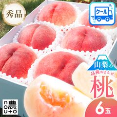 桃(日川)秀品 大玉6個 60サイズ箱入り - メルカリ