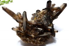 AAA級【魔除け】天然モリオン(黒水晶）クラスターYT11C6/390C24D