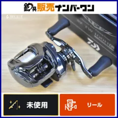 2026年最新】ダイワ 24スティーズ SV TW 100Hの人気アイテム - メルカリ