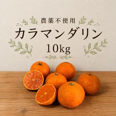 特売セール！ご家庭用カラマンダリン4kg➕清見オレンジ、甘夏、キウイ