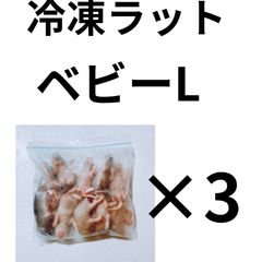 ☆冷凍ラット個別真空パックご予約フォーム☆ - メルカリ