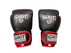 GRIT BIG MITT KICK SHIELD キックミット - メルカリ