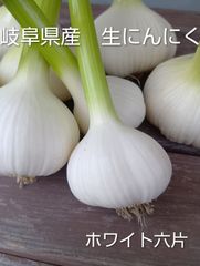 【朝採り・新鮮】大粒にんにく 5kg（茨城県つくば市産）★期間限定 朝採り・新鮮】大粒にんにく 5kg（茨城県つくば市産）☆期間限定