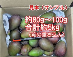 沖縄県産 摘果マンゴー 青マンゴー - メルカリ