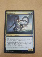MTG 策略の龍、アルカデス Arcades, the Strategist - メルカリ